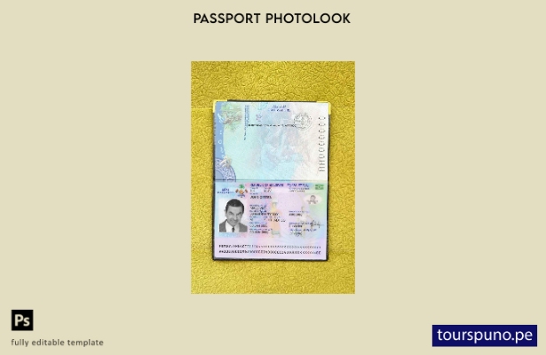 Plantilla de apariencia de foto de pasaporte de Maldivas lista para imprimir